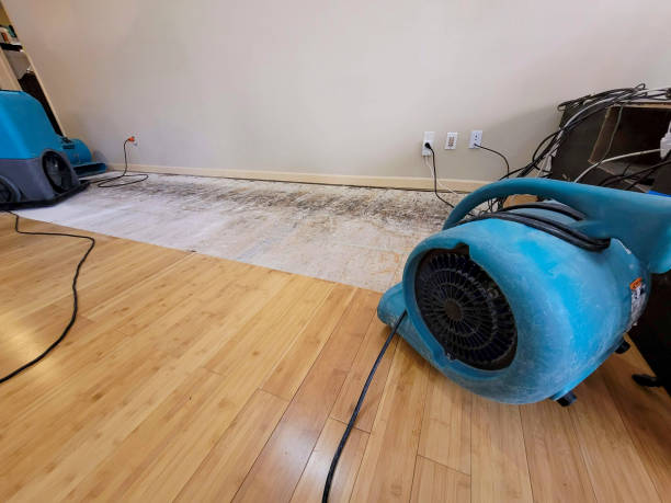 Professional Ceiling Water Damage Repair technician working in Arlington, MN